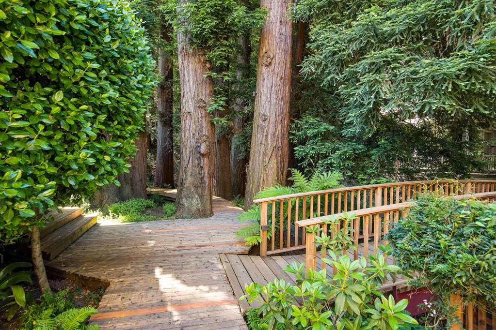 Mill Valley Inn Eksteriør bilde